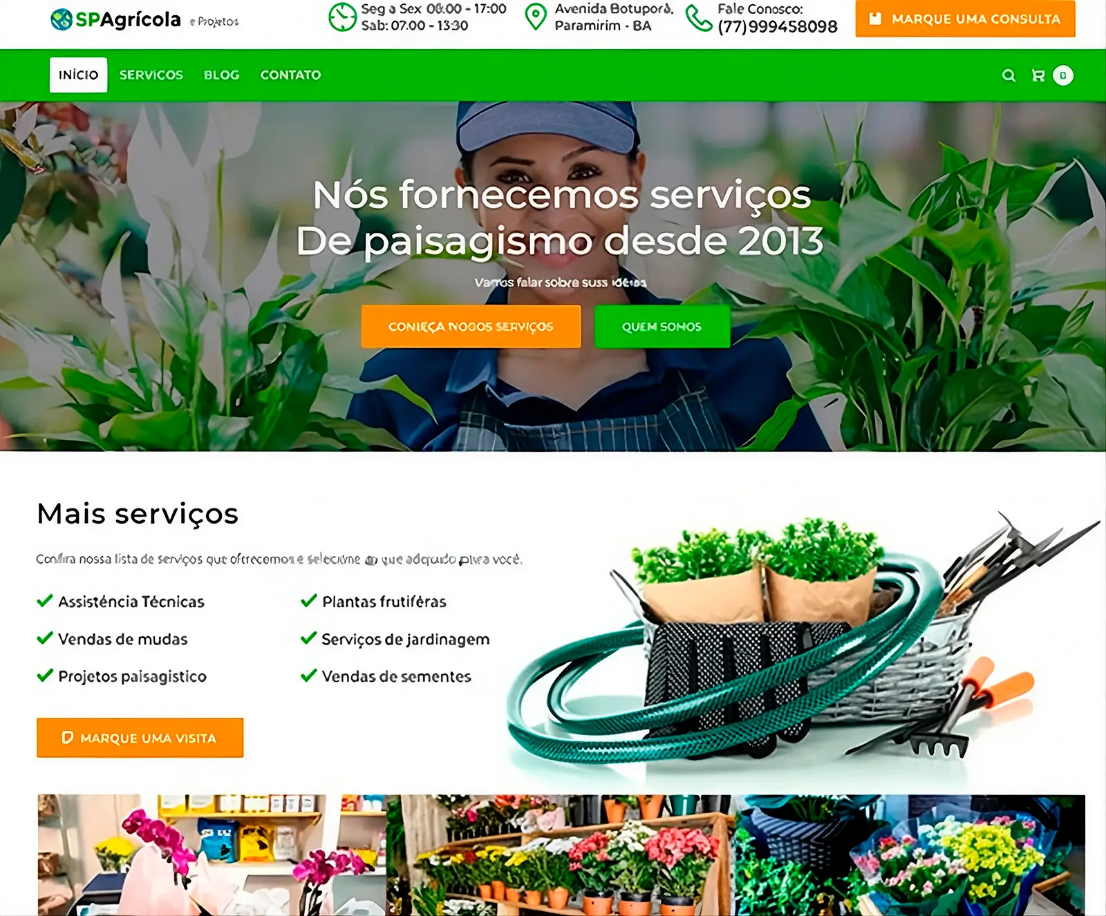 Página inicial do site SP Agrícola, empresa de consultoria agrícola, insumos, sementes, mudas e jardinagem em Paramirim BA.